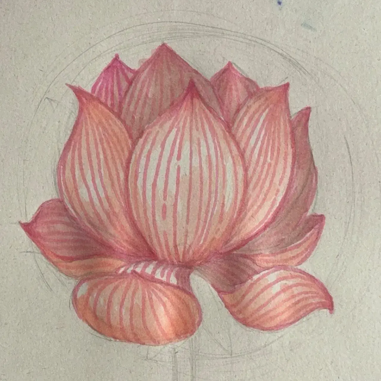 dessiner les nuances de couleurs d'une fleur de lotus