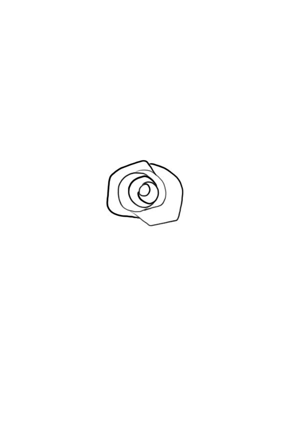dessiner une fleur : la rose étape 4