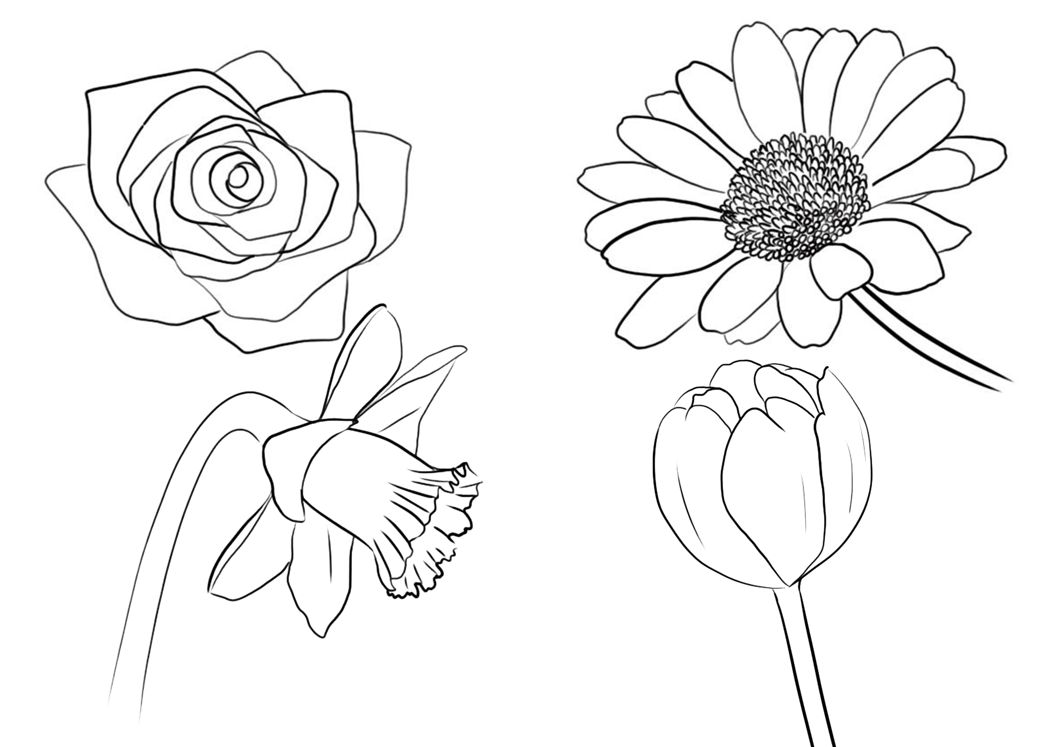 Cómo dibujar una flor