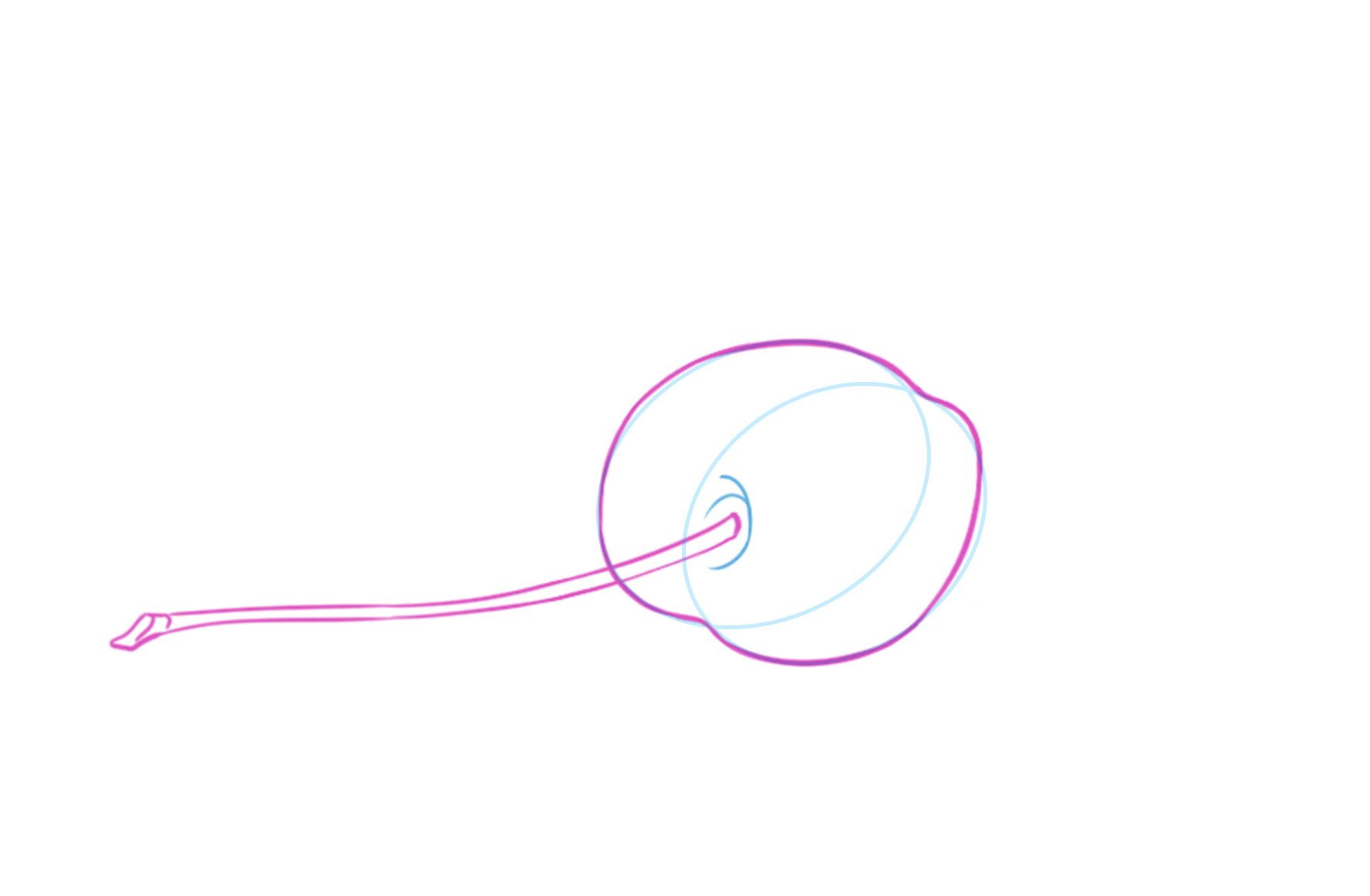 sketch of the cherry hollow