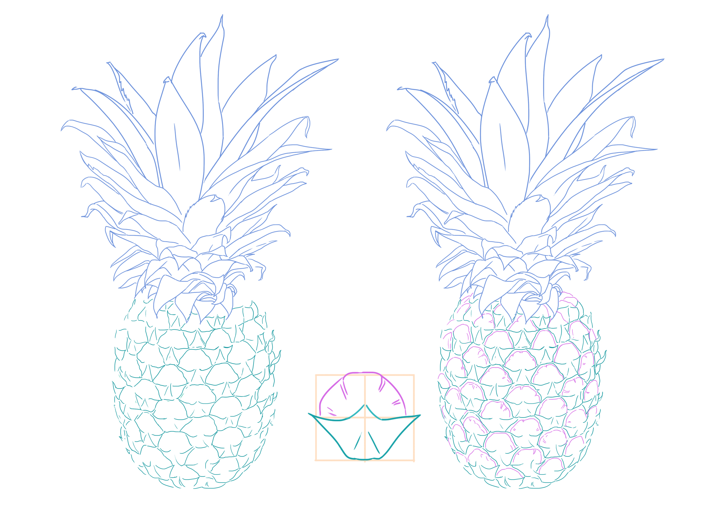 sketch of the pineapple rind 2