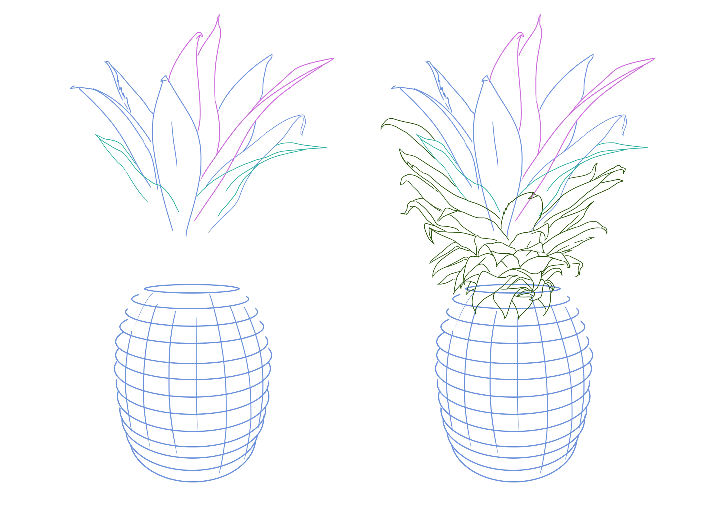 sketch of pineapple leaves