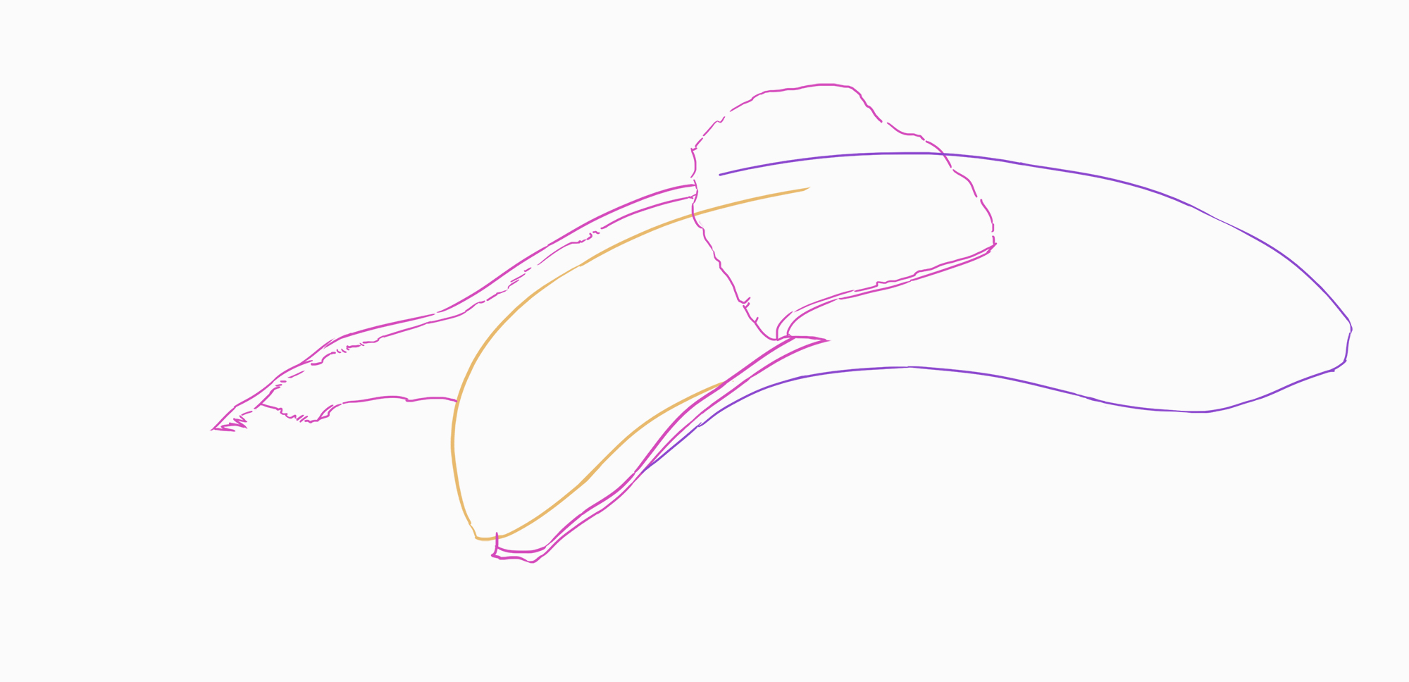 sketch of the banana skin 2