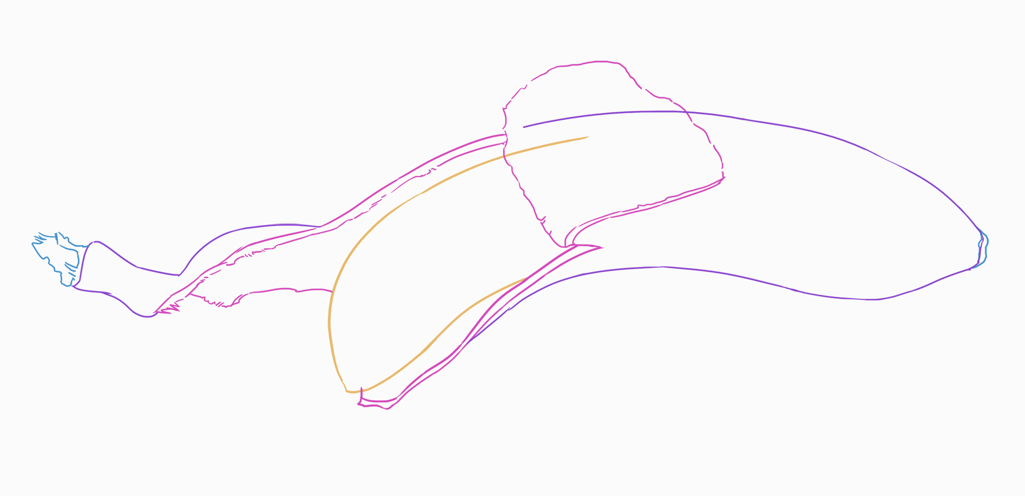 sketch of the banana skin 3