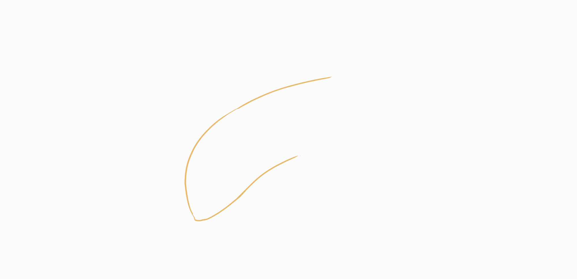sketch of the banana pulp