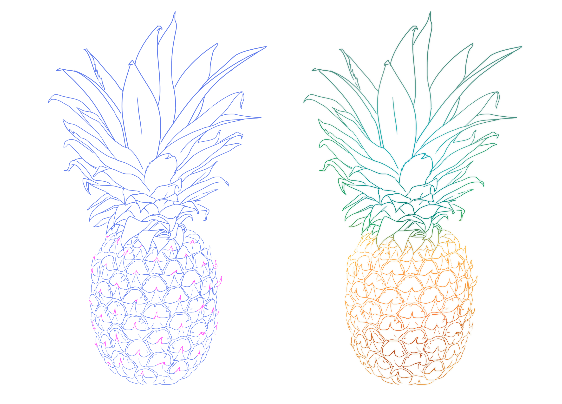 drawing of a pineapple