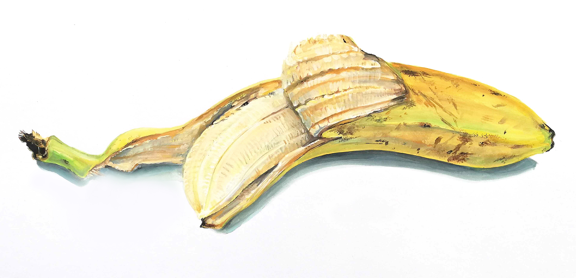 Aprender a dibujar frutas