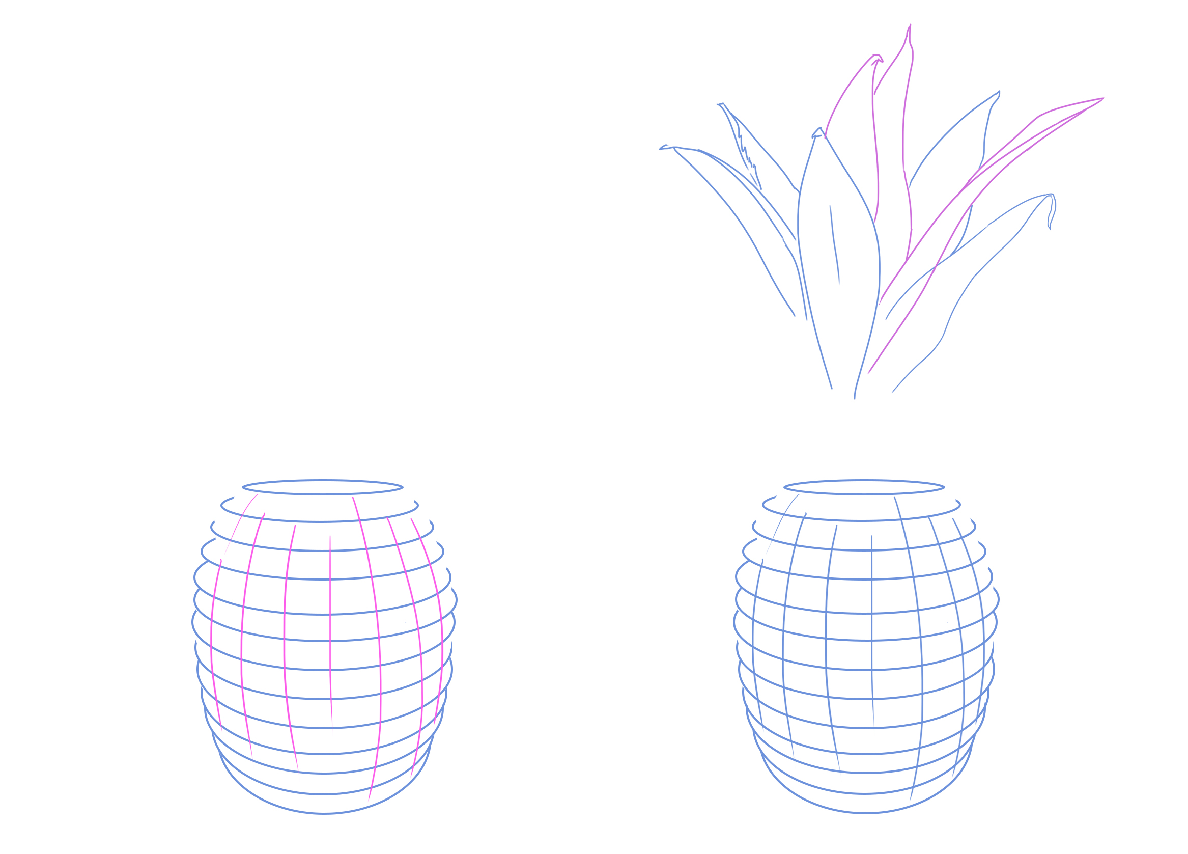 drawing of the guiding lines of the pineapple