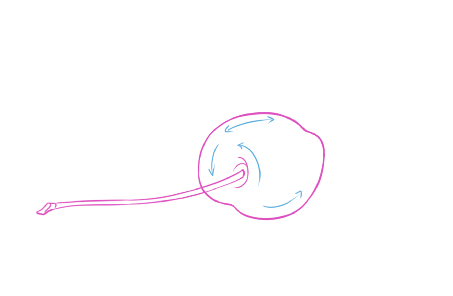 indicative reflection arrows