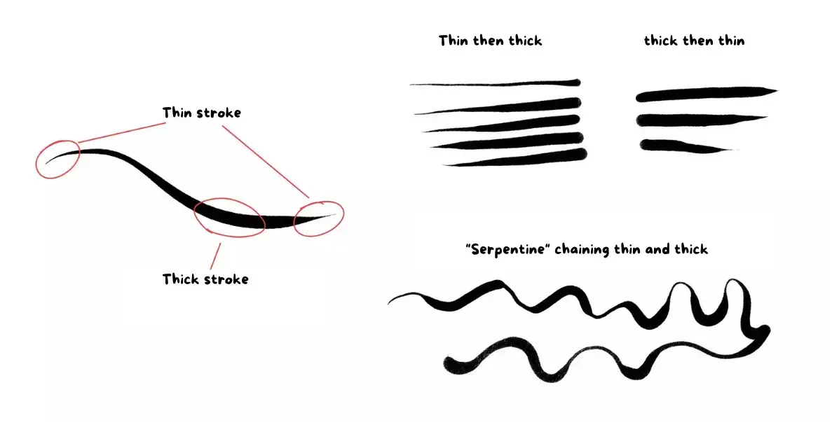 different types of thin and thick lines 