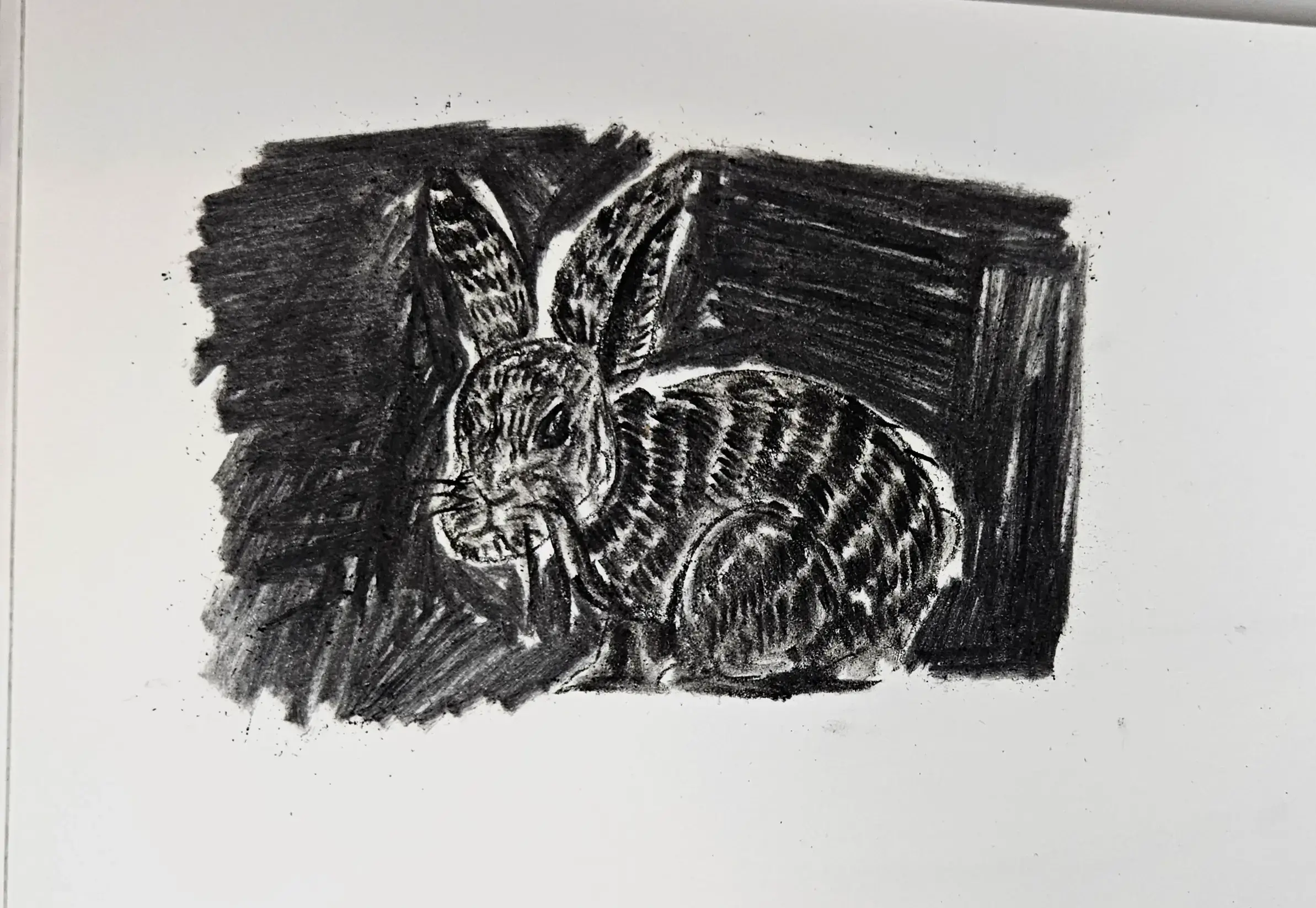 dessiner l’arrière plan d’un lapin au fusain