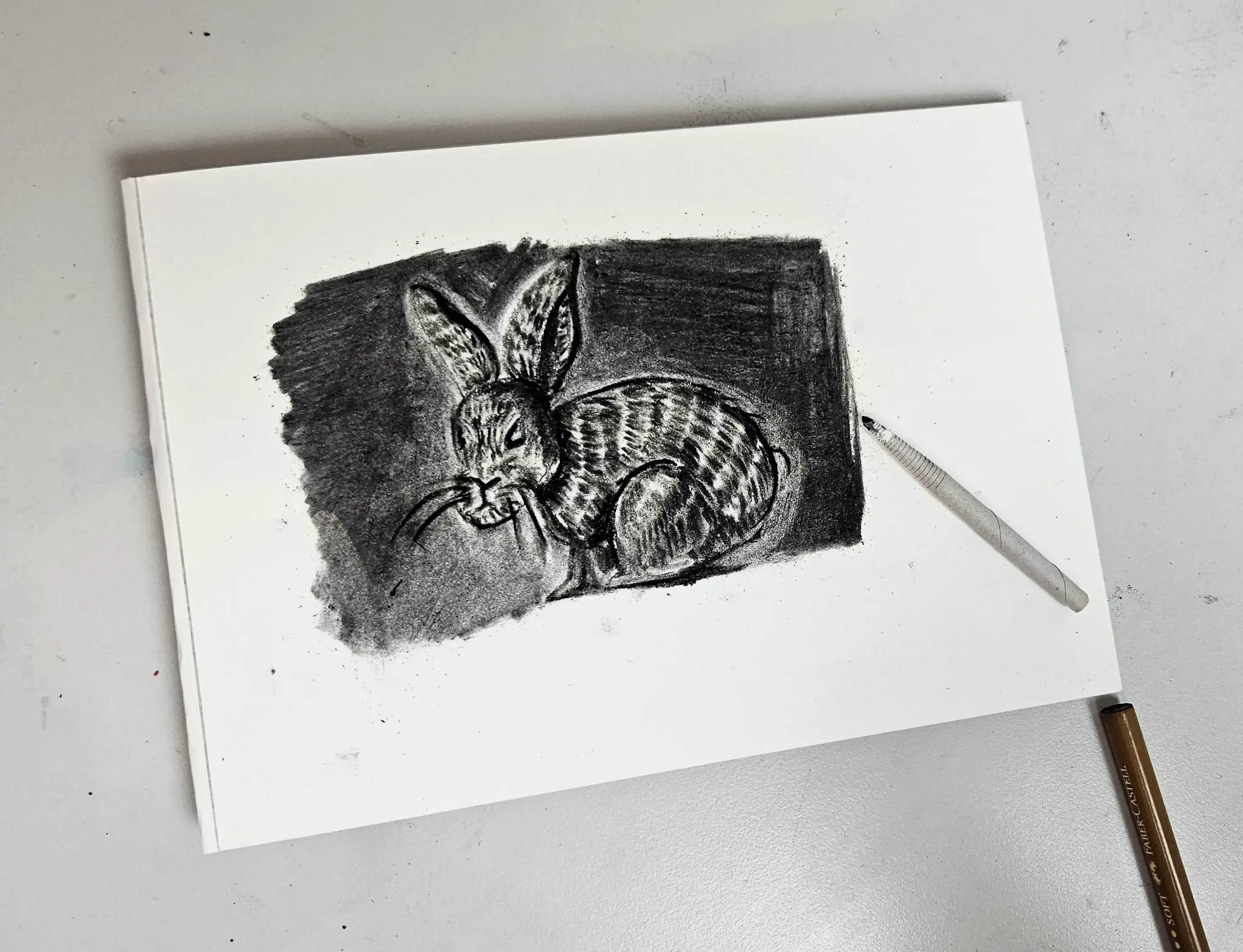 dessiner les détails d’un lapin au fusain