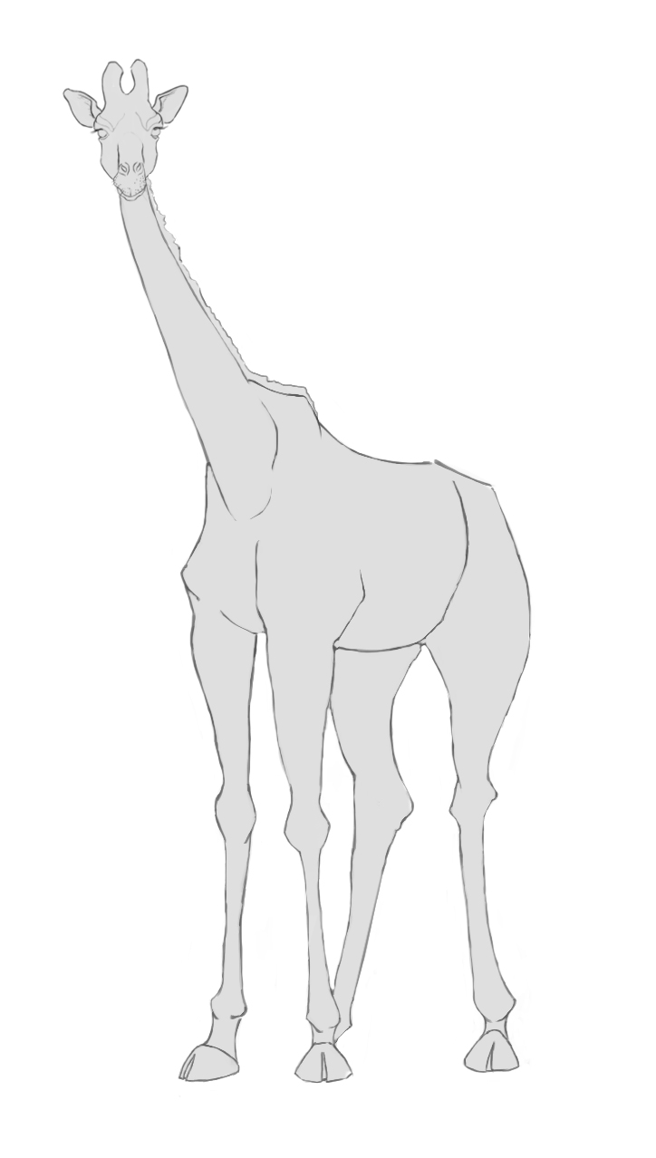 Dessin de la girafe à mi-chemin