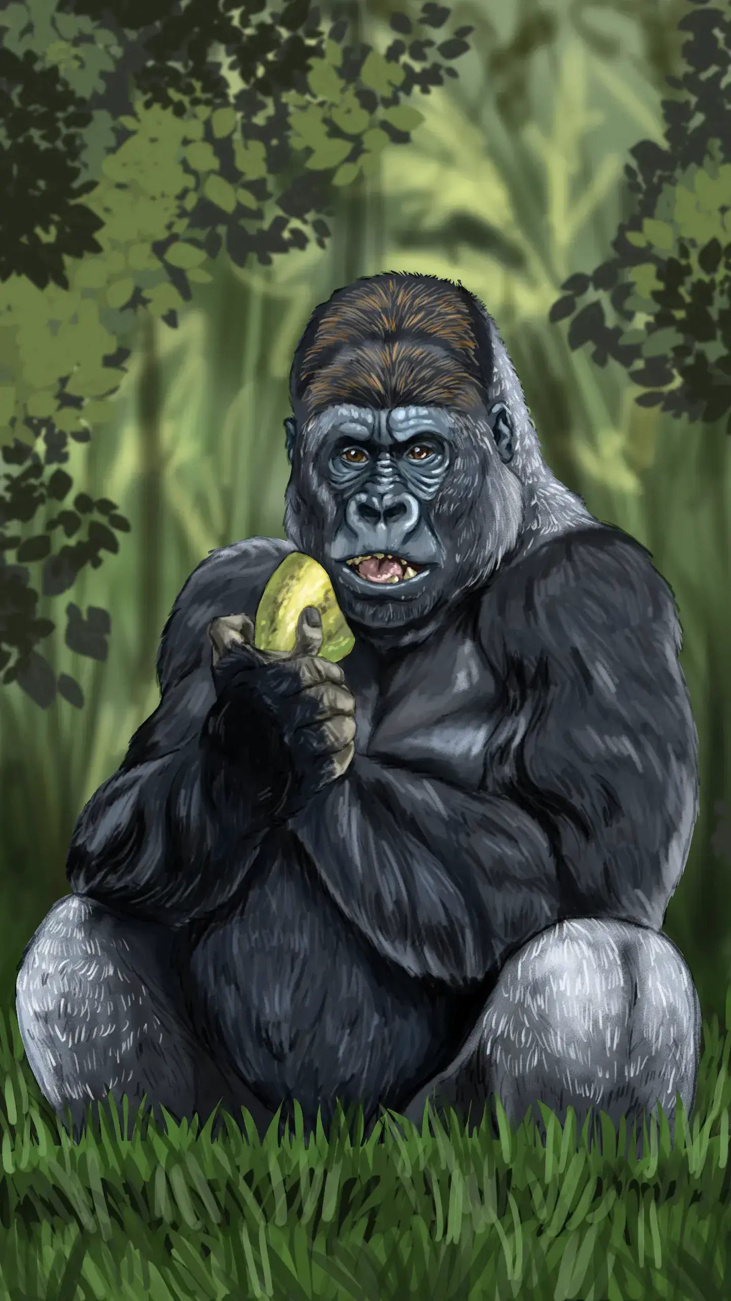 Dibujar un gorila
