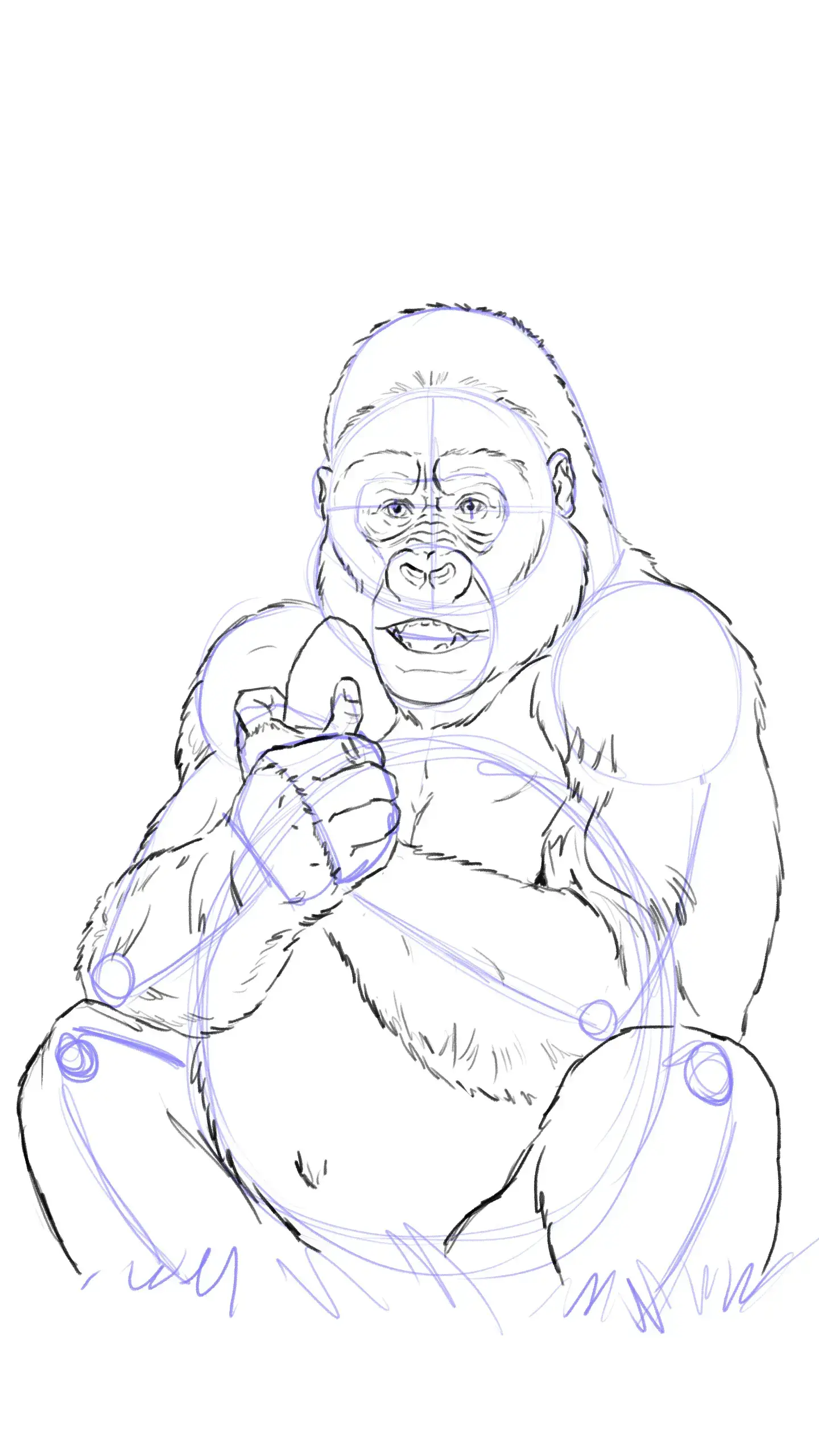 dessiner les jambes d'un gorille