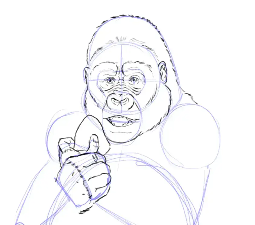 dessiner les mains d'un gorille