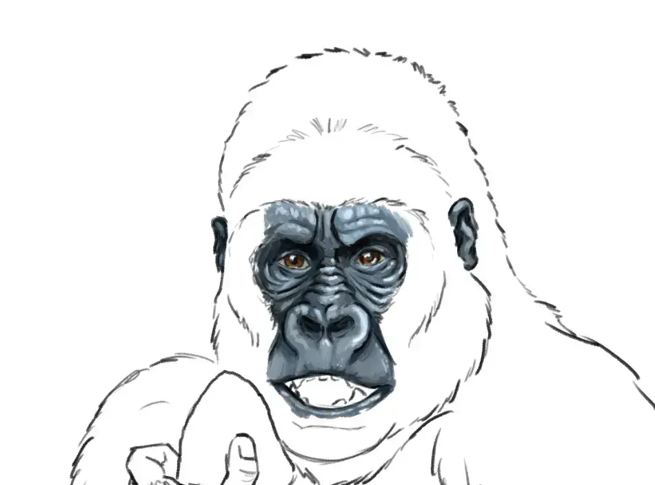 dessiner le nez d'un gorille