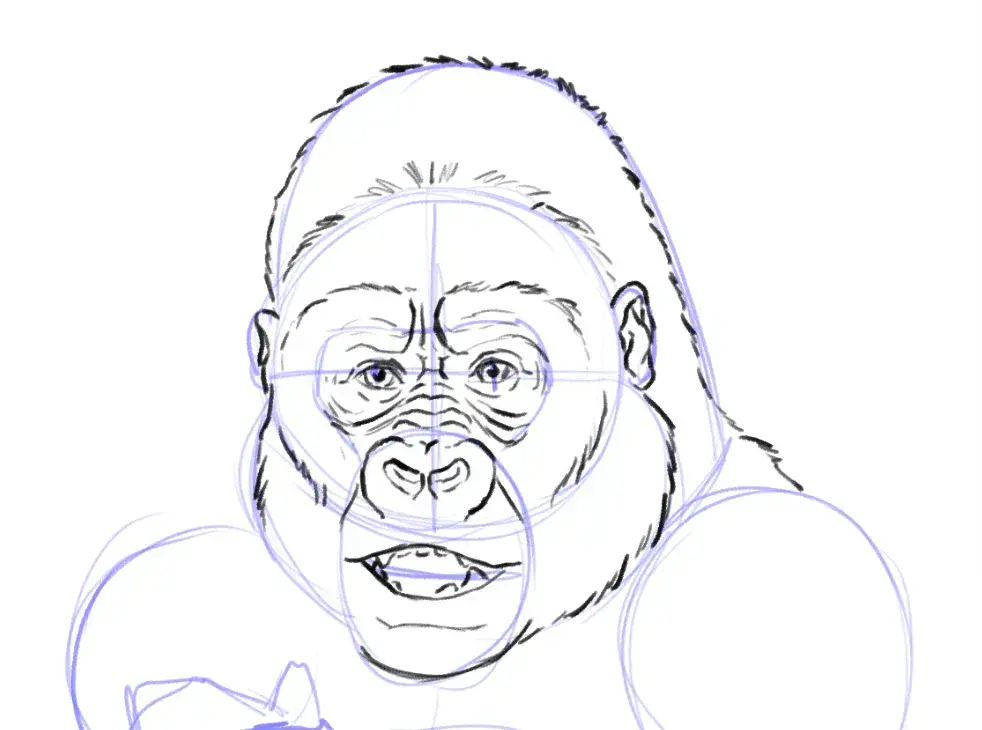 dessiner le pelage d'un gorille