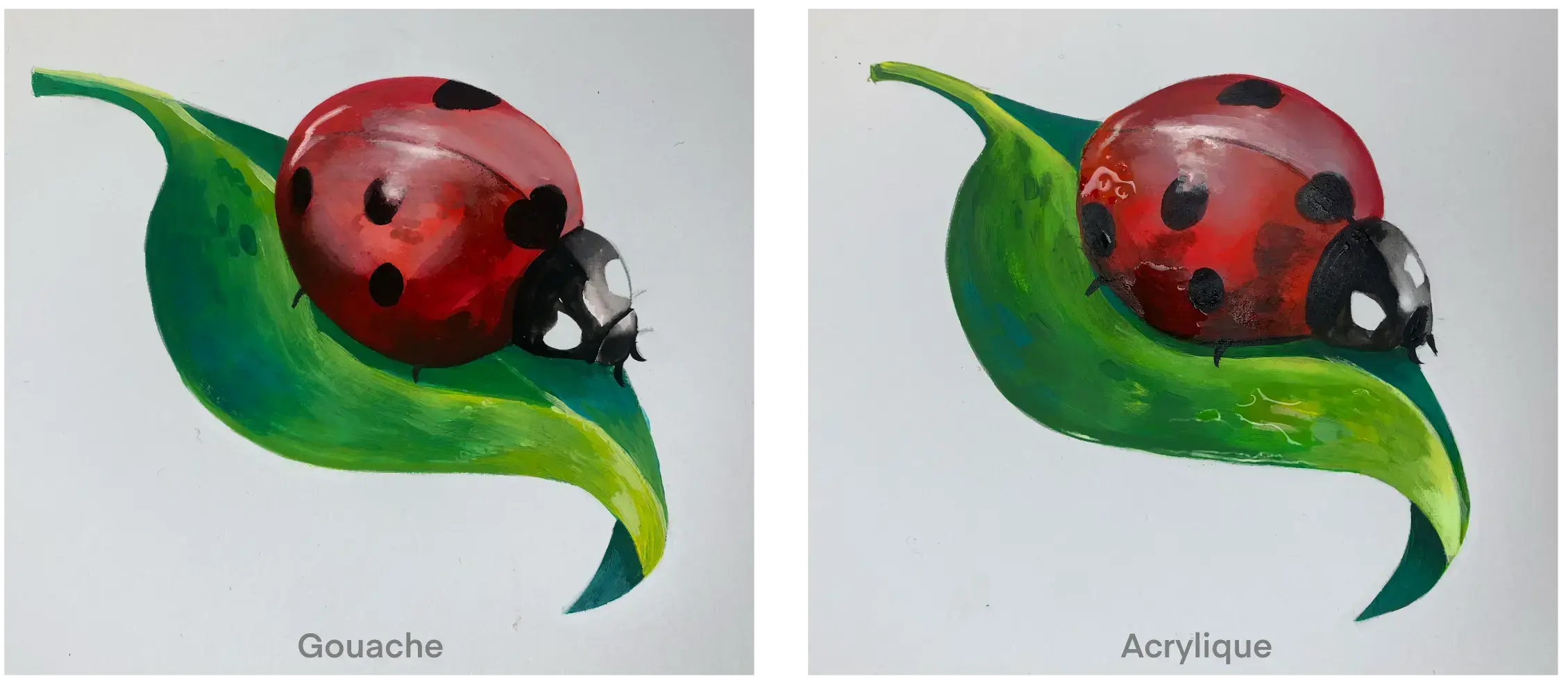 exemples de dessins réalisés à la gouache et à l'acrylique