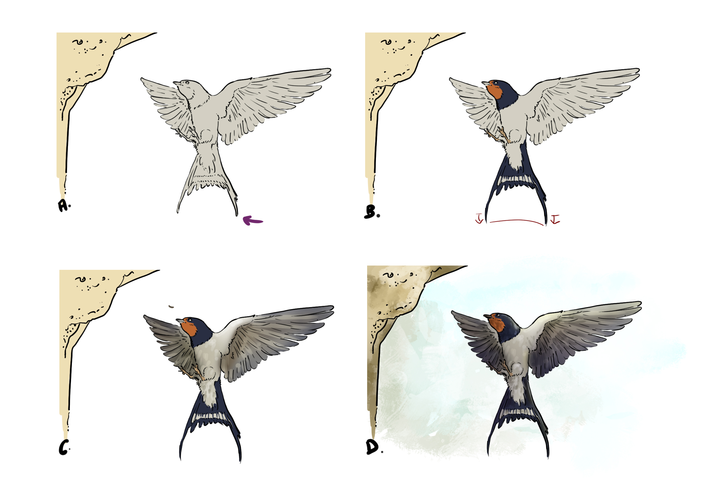 Cómo dibujar una golondrina