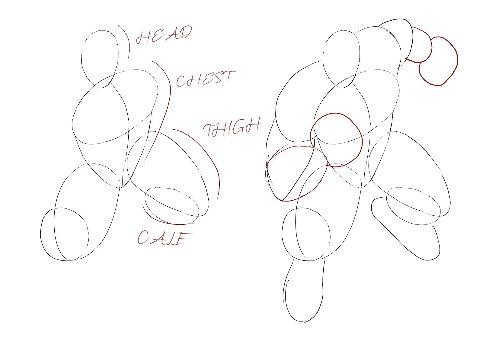 draw the base of the different parts of Hulk's body