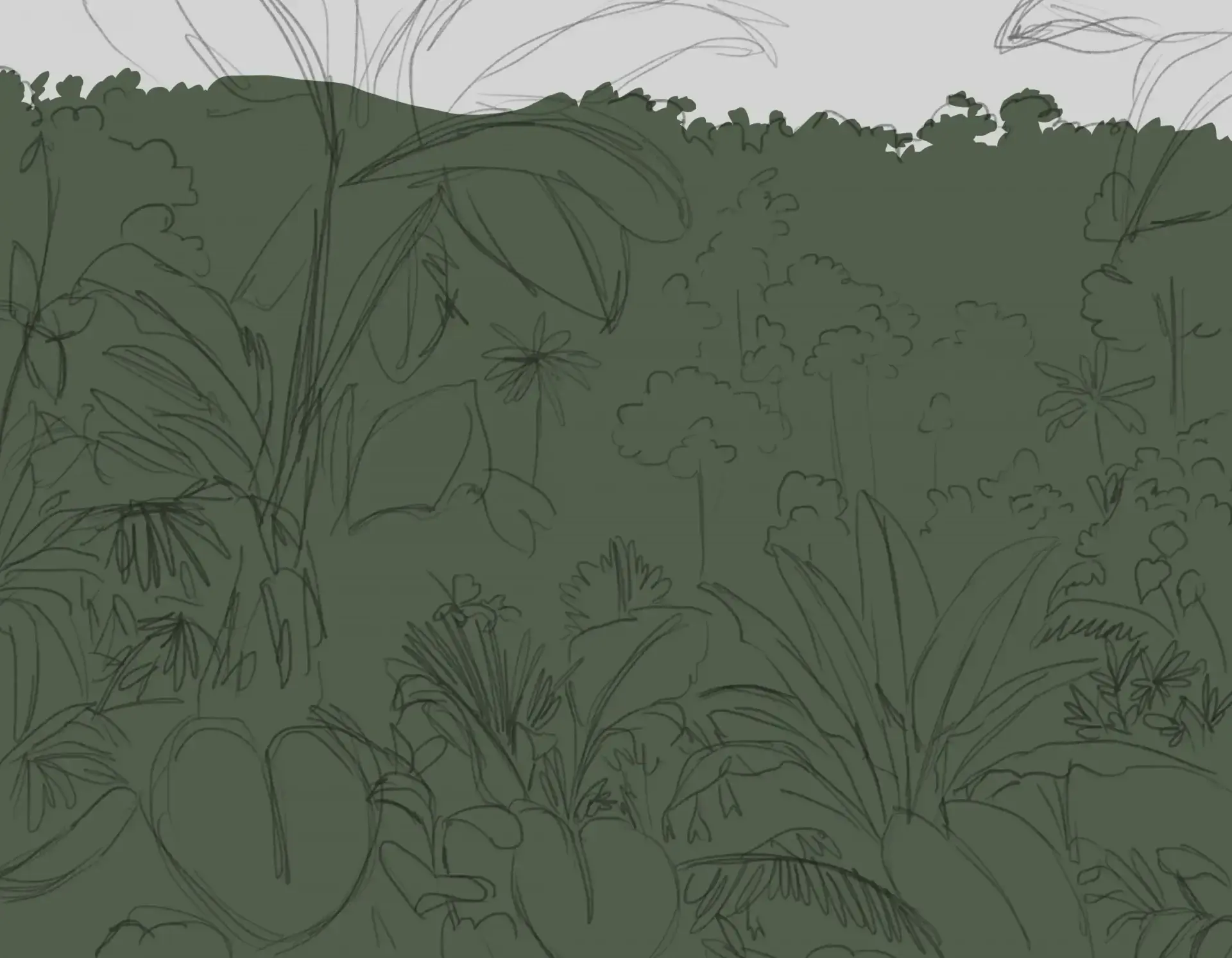 dessiner le ciel de la jungle