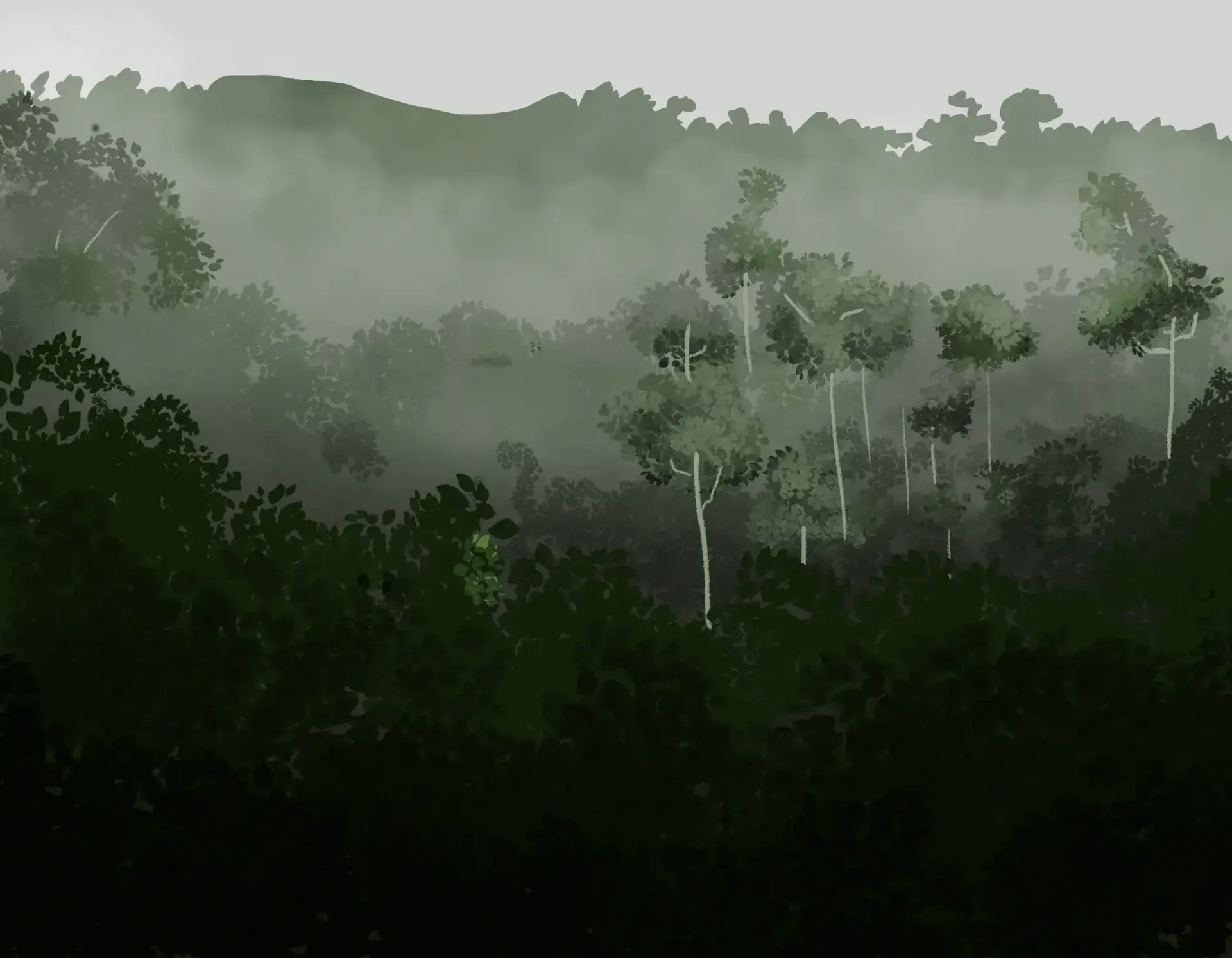 dessiner les détails de la jungle