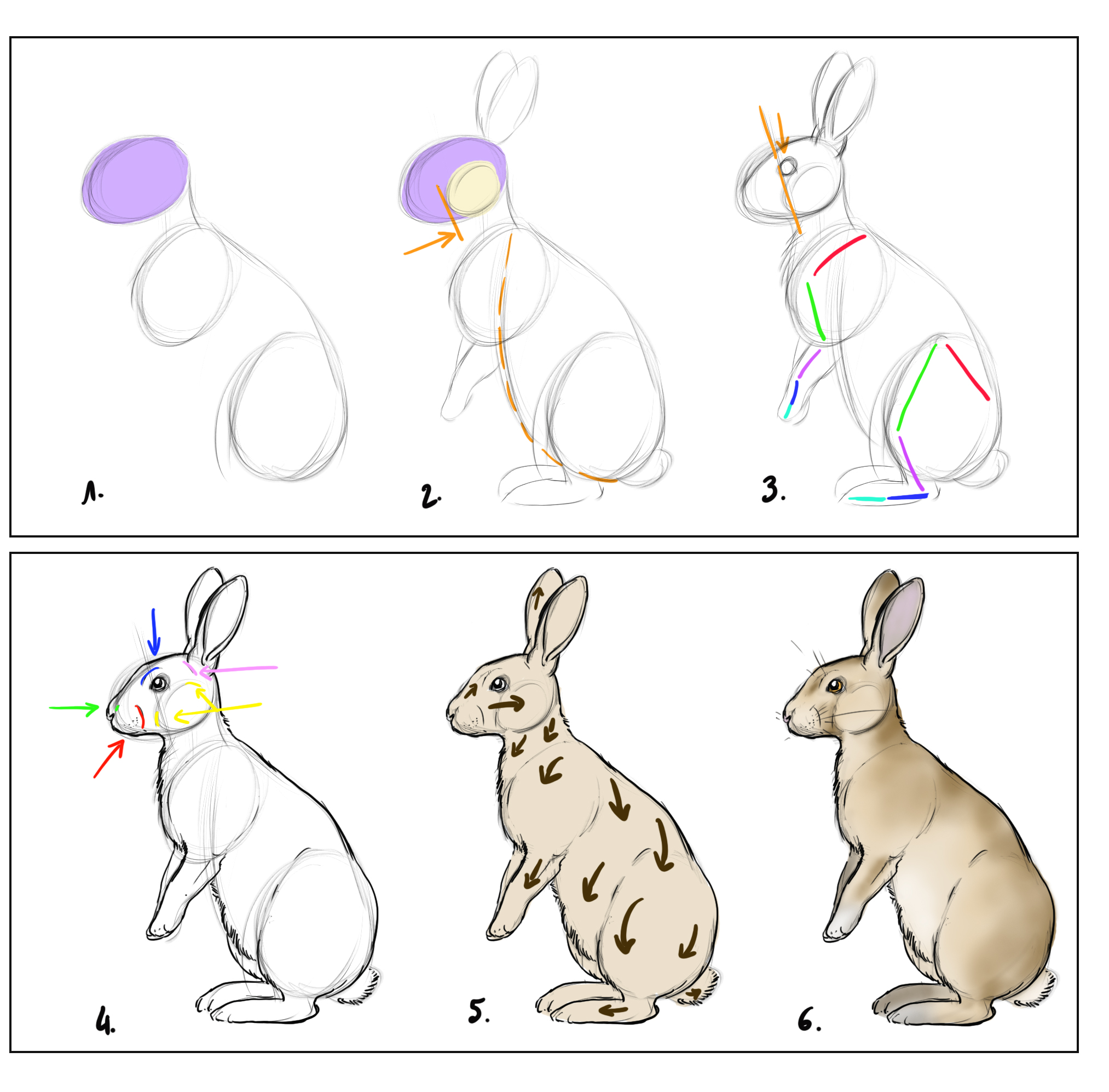 ¿Cómo dibujar un conejo?