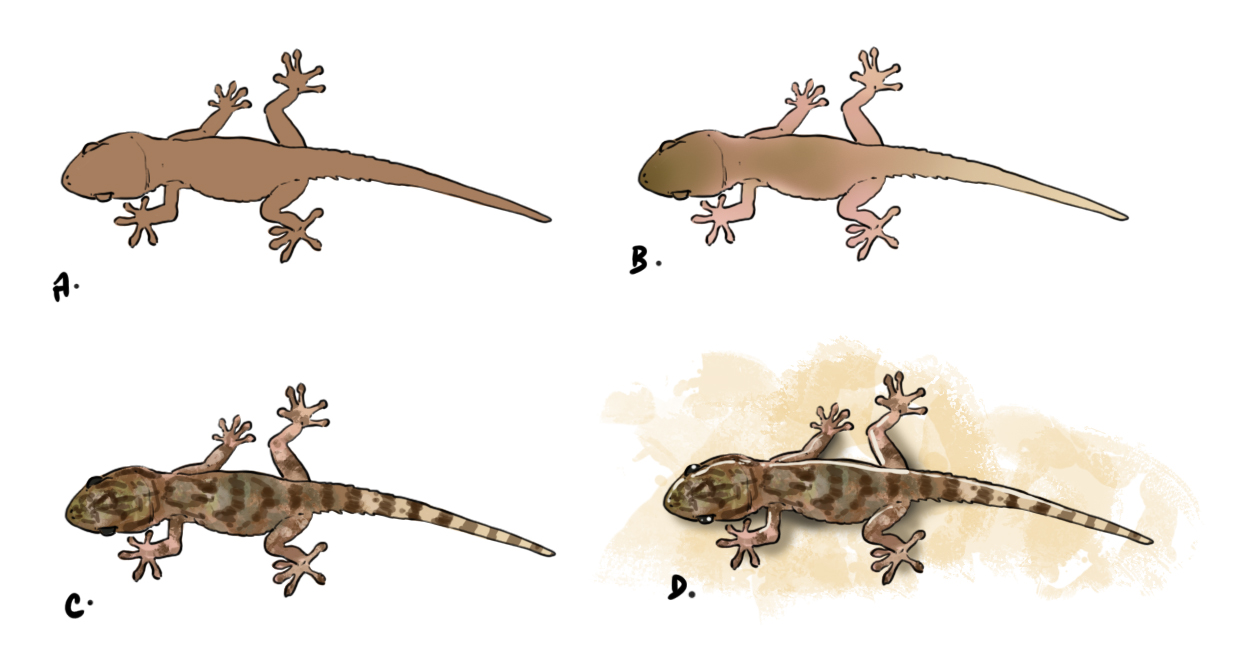 Cómo dibujar un lagarto