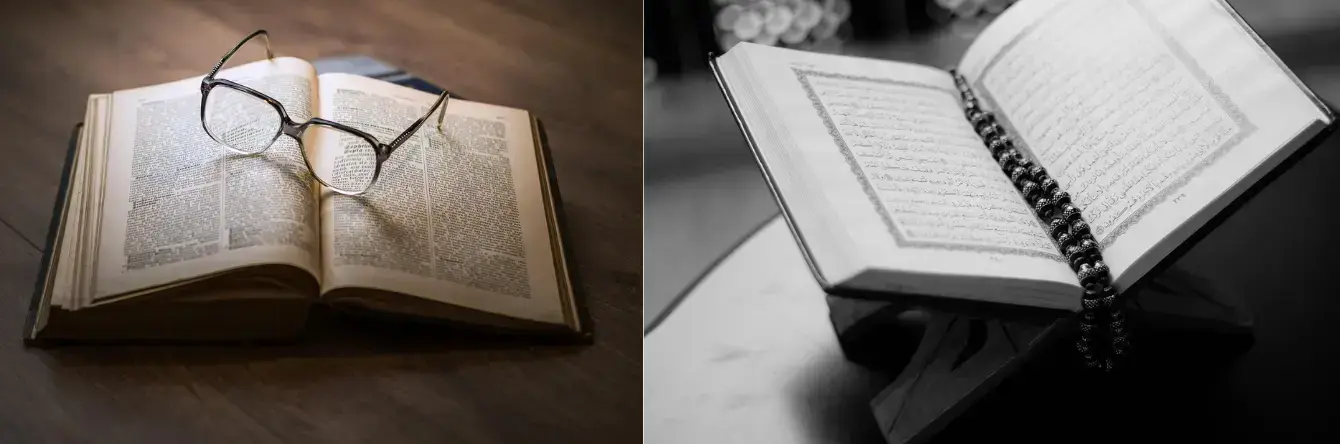 quelques exemples de livres pour nous aider dans notre composition