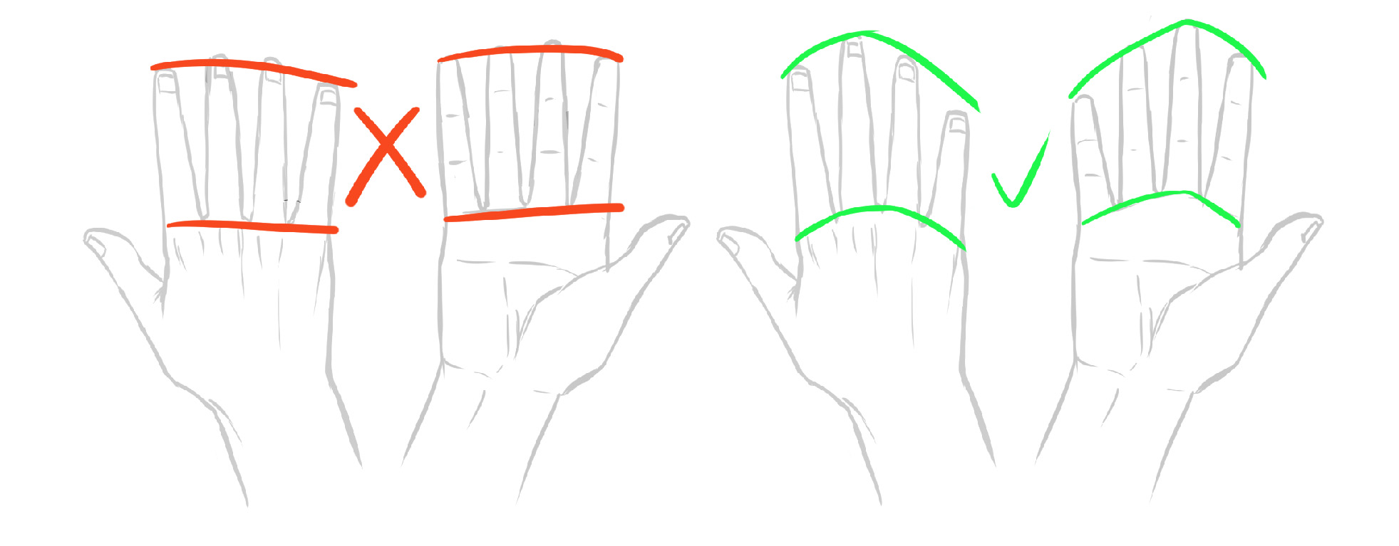 Bosquejo correcto de la mano