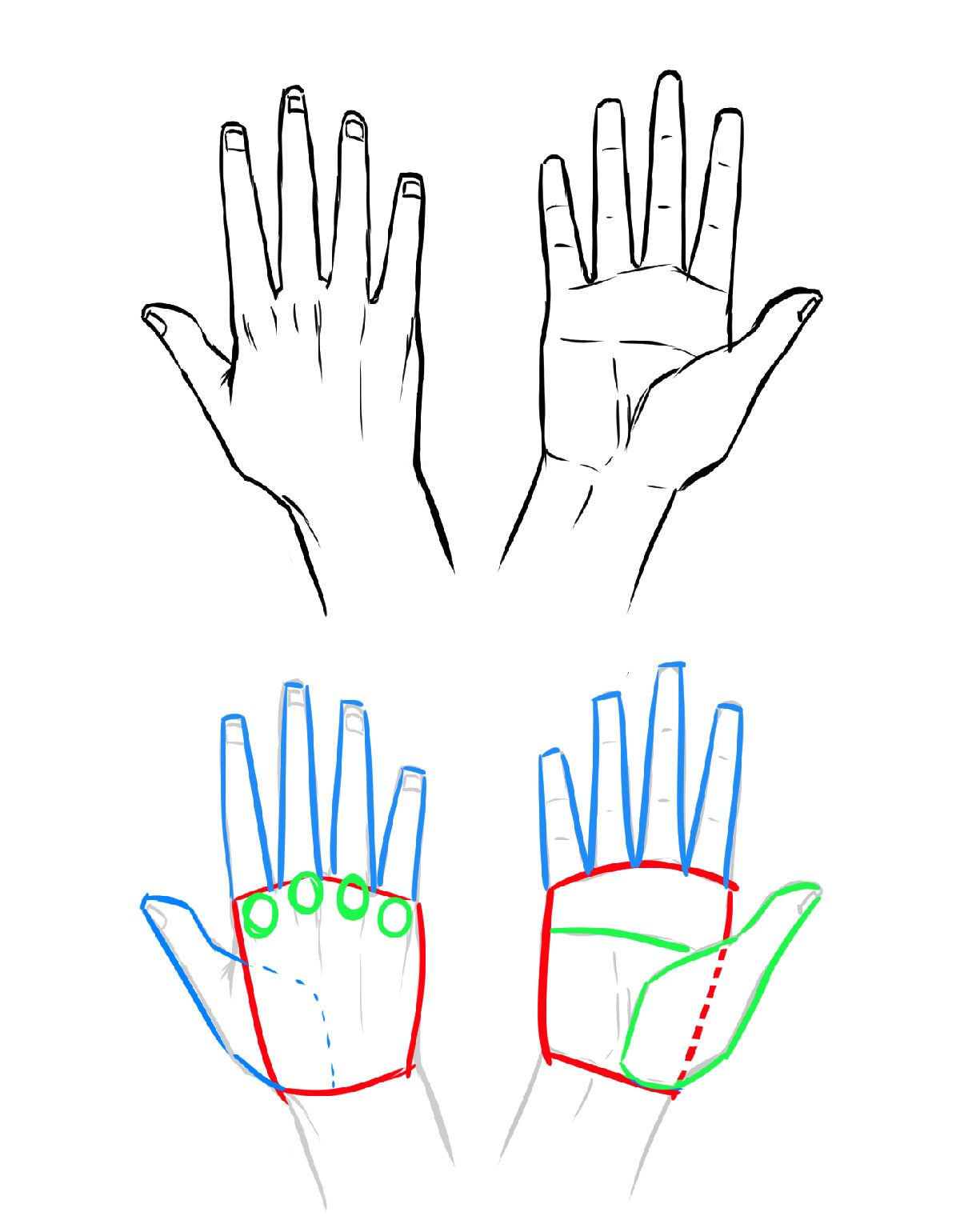 Dibujar los detalles de la mano