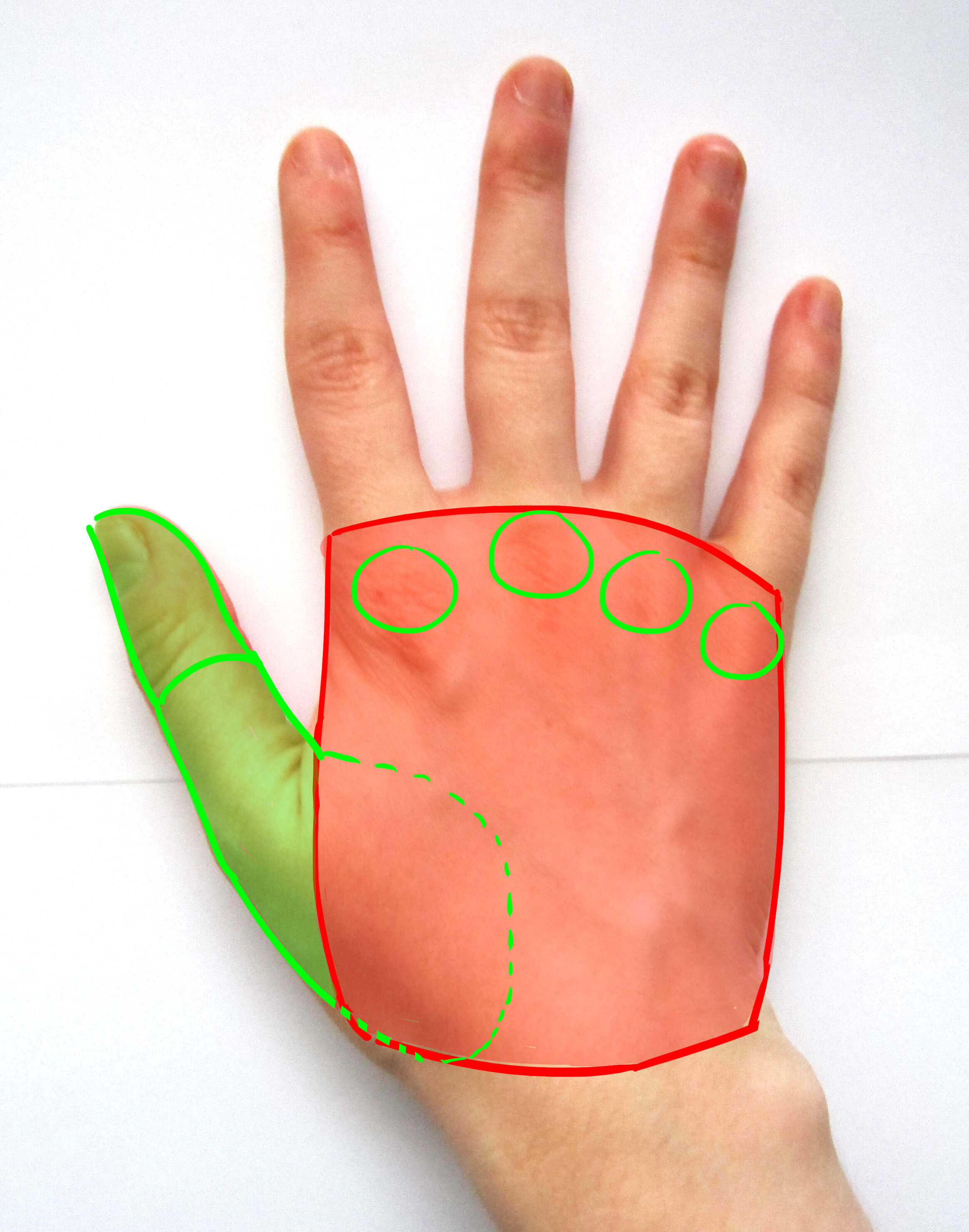 Pulgar de la mano de espalda