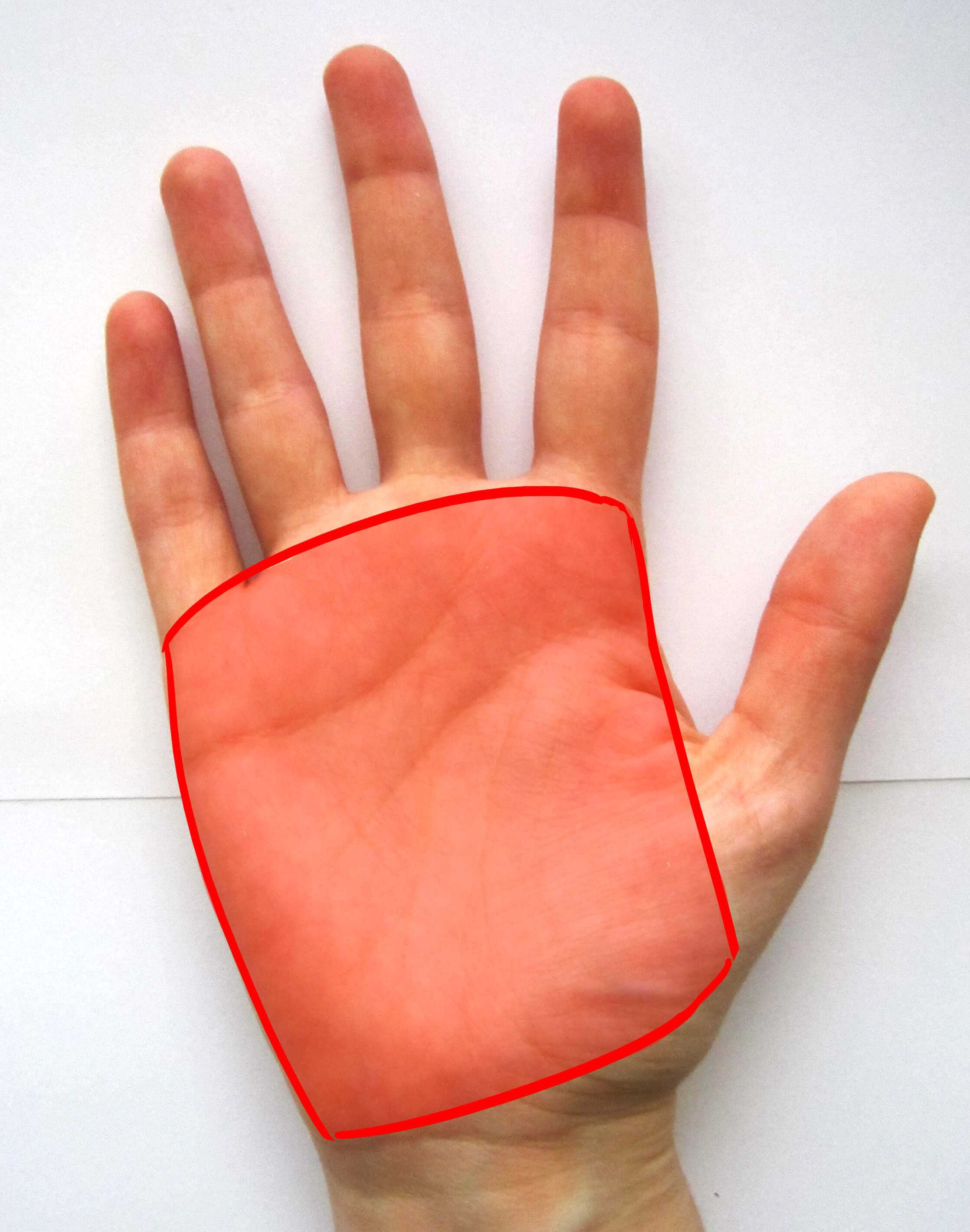 Palma de la mano de frente