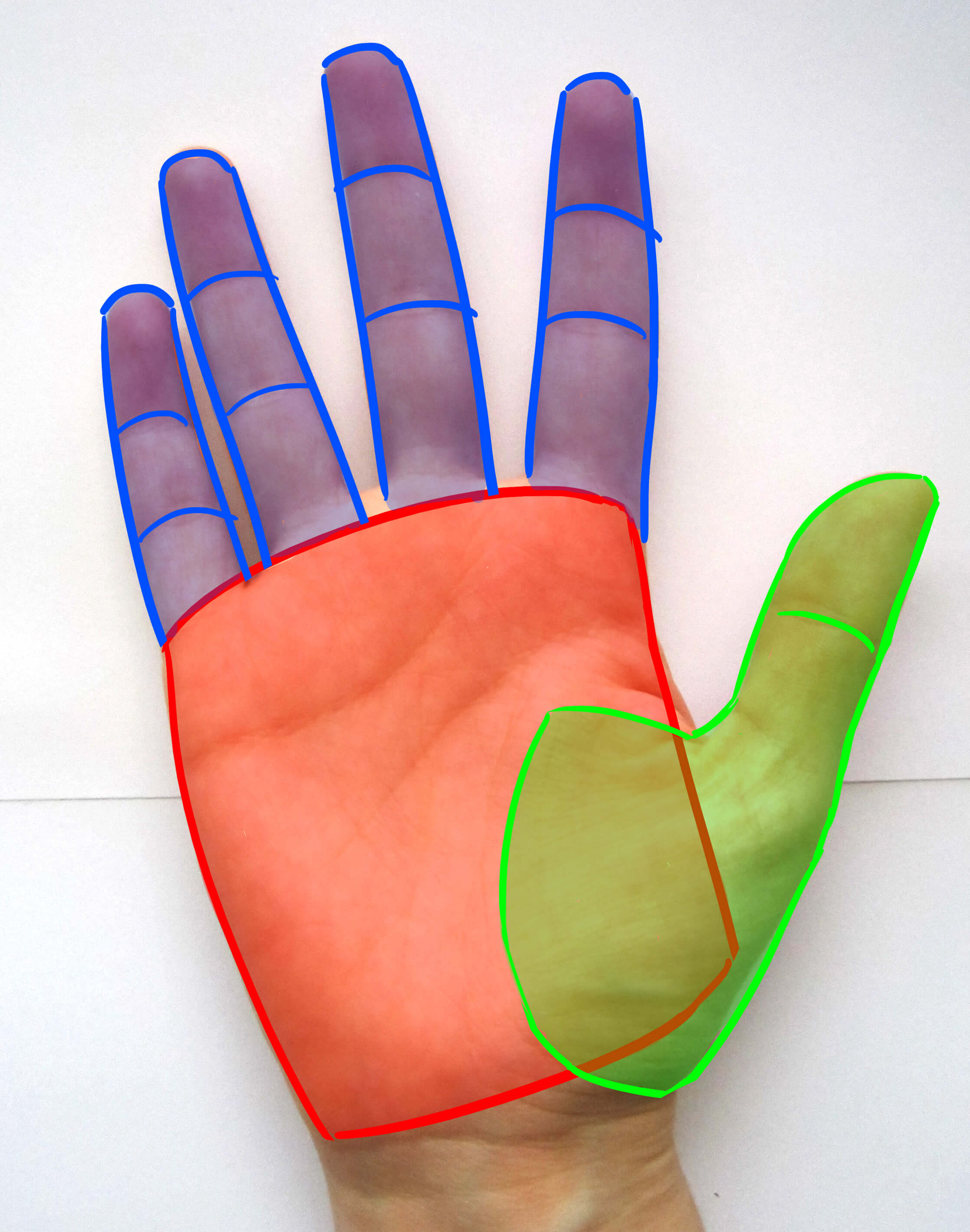 Dedos de la mano de frente