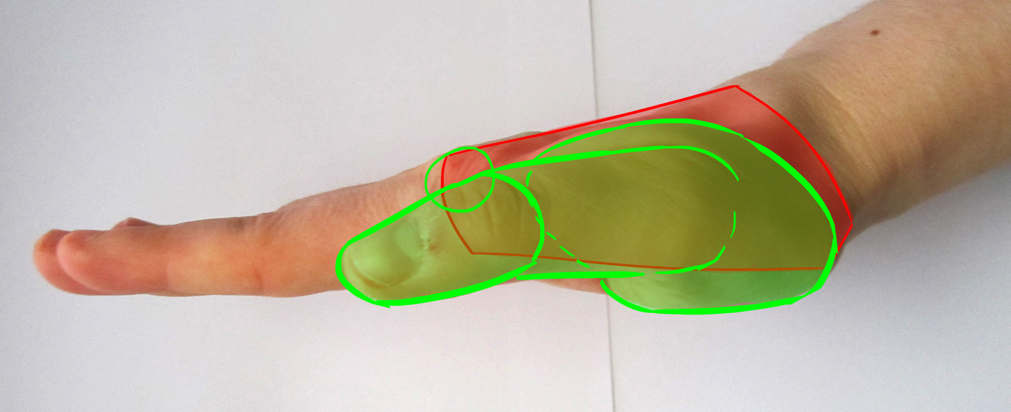 Pulgar de la mano de perfil