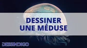 Comment dessiner une méduse