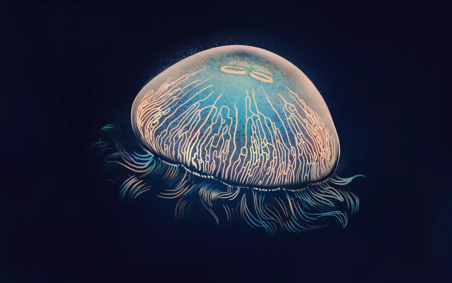 Aprende a dibujar medusas fascinantes: Guía Definitiva