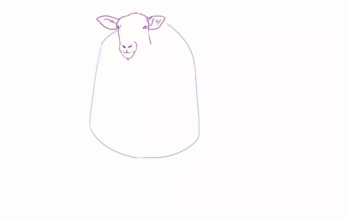 dibujo del busto de una oveja