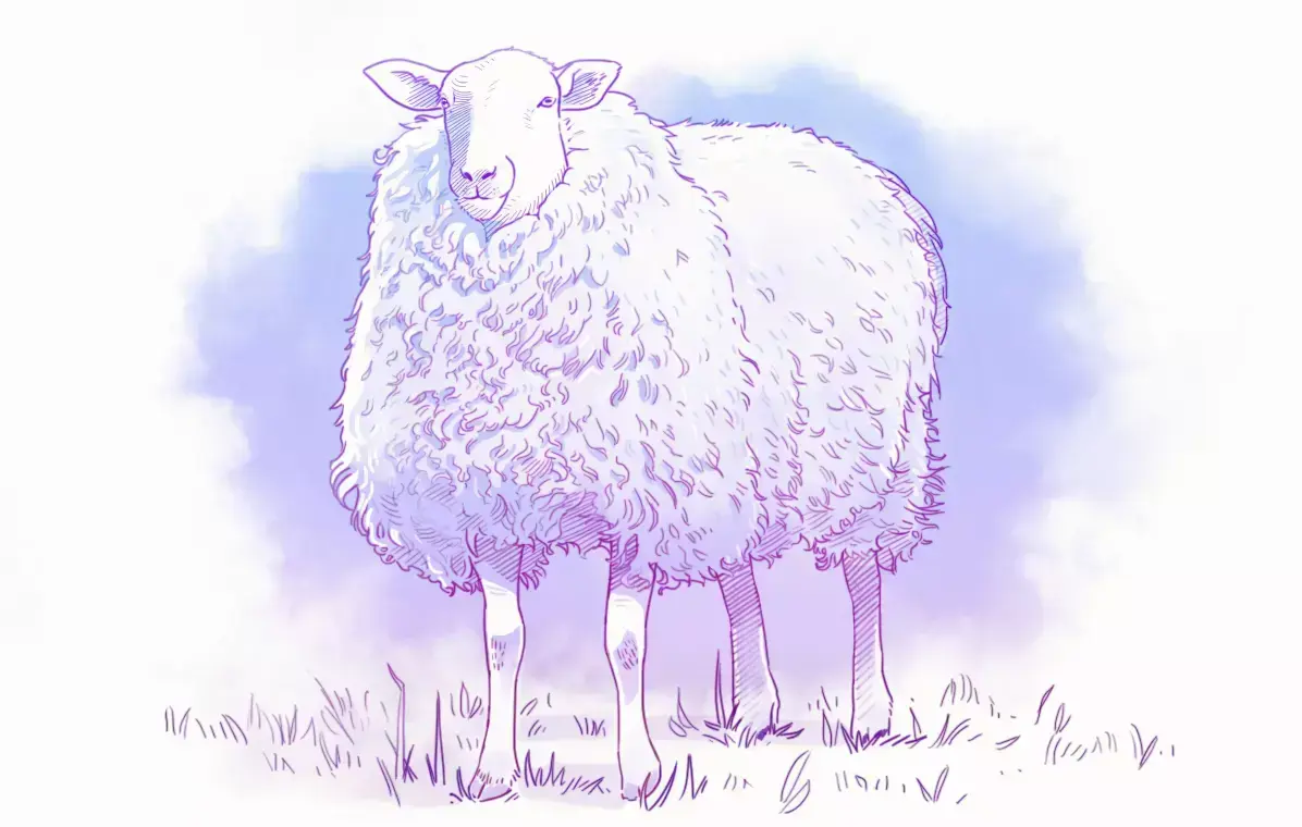 ¿Cómo dibujar una oveja? : Guía completa inspirada en El Principito