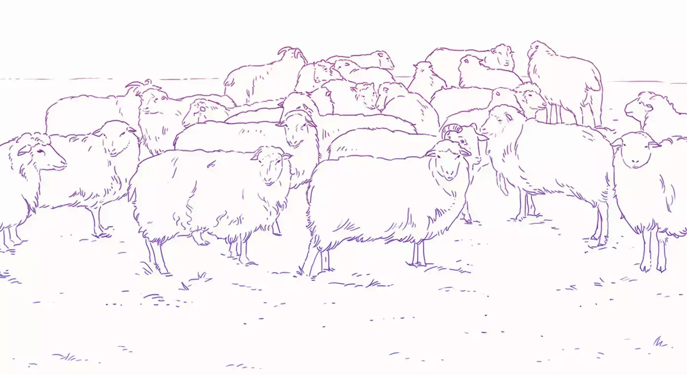 dibujo de un rebaño de ovejas