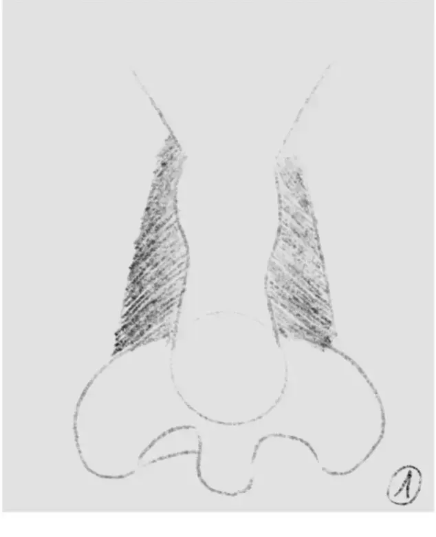 dessiner l’ombrage des côtés d’un nez de face