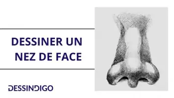 Dessiner un nez de face