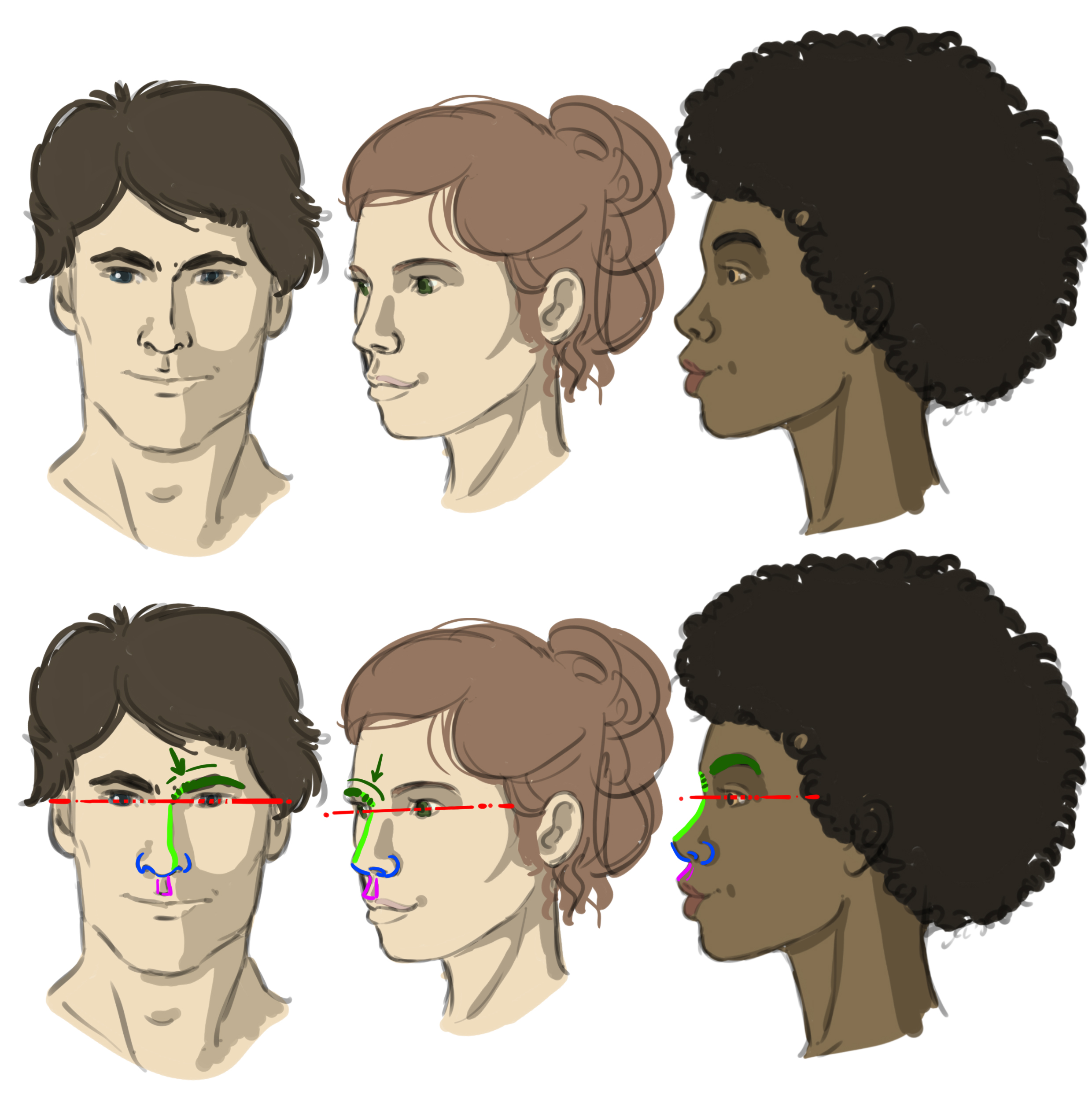 dessins de du nez de face, de 3/4 et de profil
