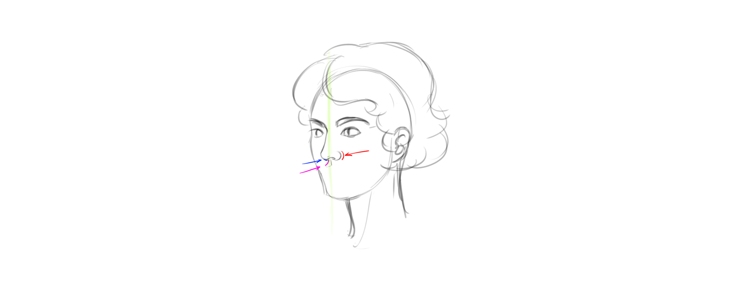 dessiner un nez étape 5