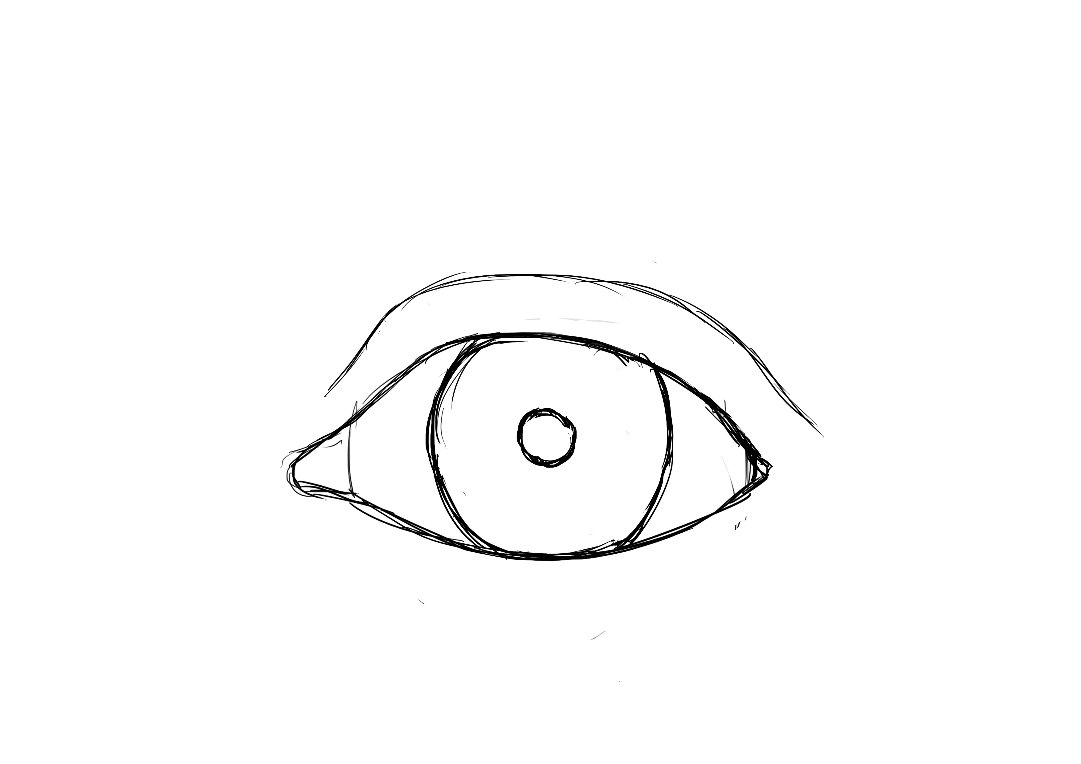 Dessiner la paupière de l'oeil