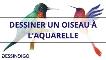 Dessiner un oiseau à l’aquarelle