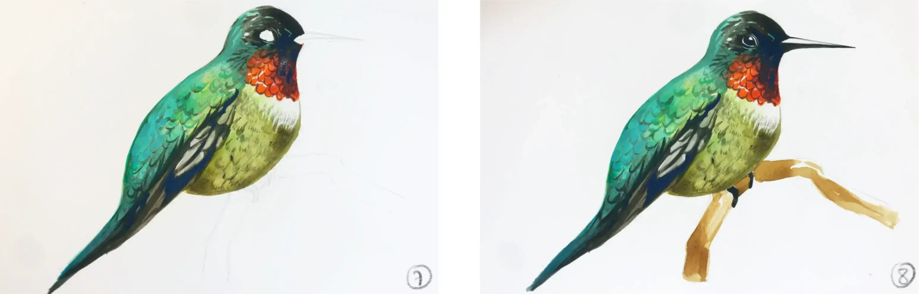Dibujar un pájaro con acuarela