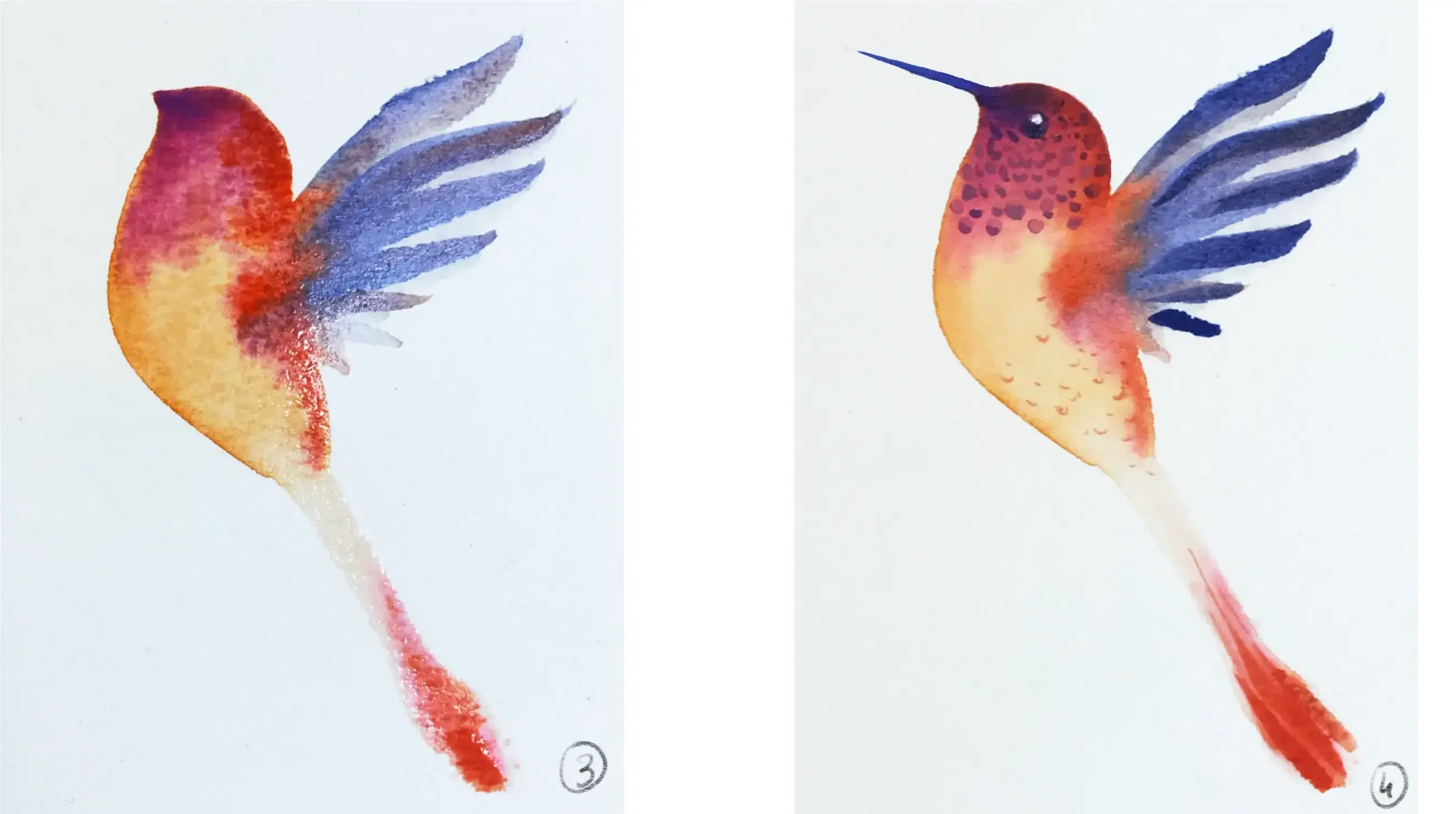 Wie man einen Vogel mit Aquarell malt
