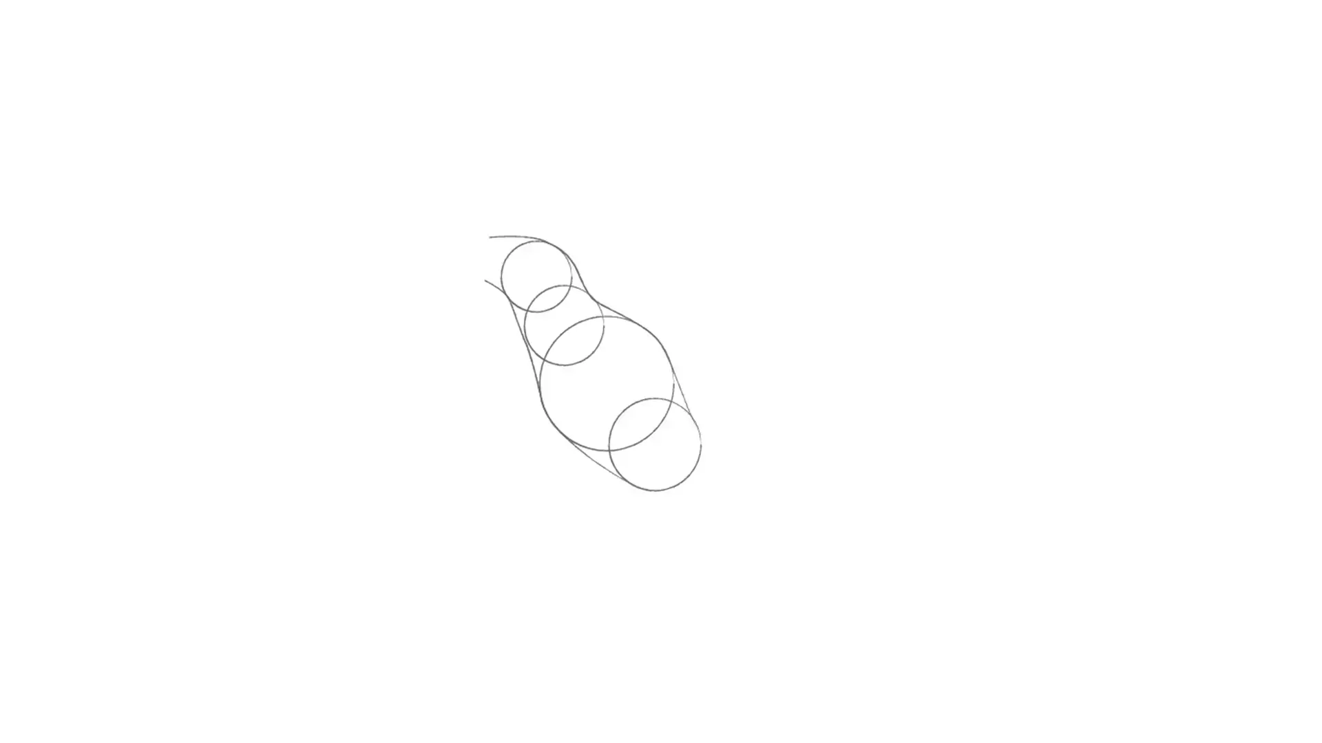 dessin du corps d’un oiseau en vol
